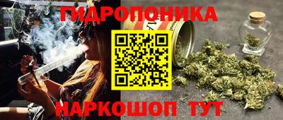 кокс Ачхой-Мартан