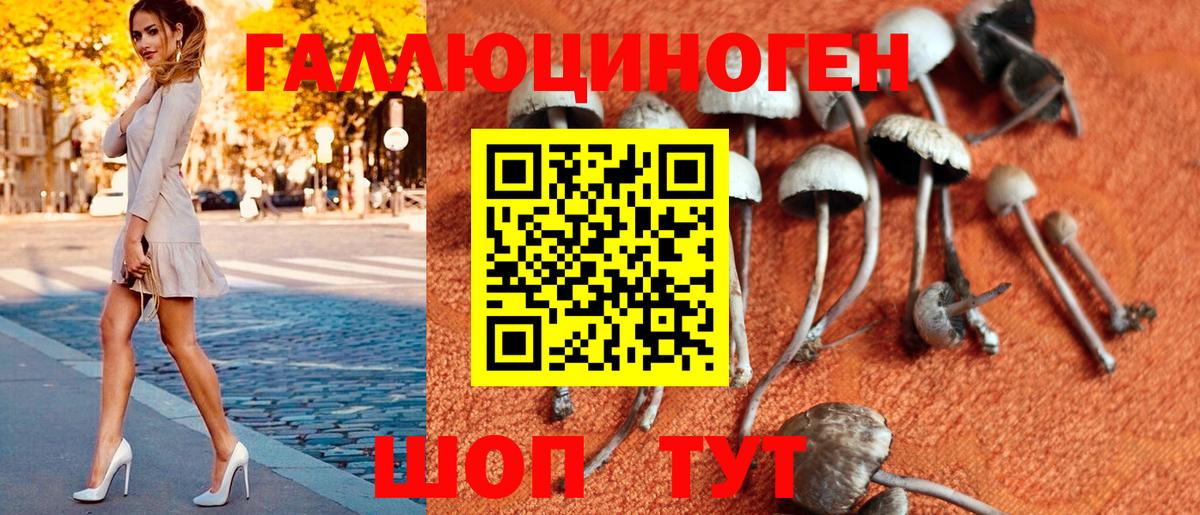 Воронеж  Псилоцибиновые грибы GOLDEN TEACHER  Вход с VPN 